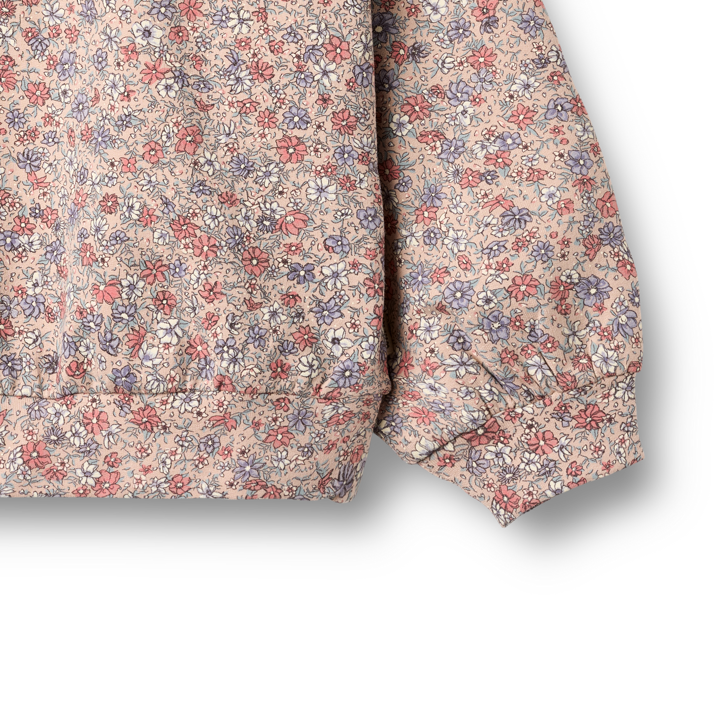 Rose Dust Floral Sweatshirt