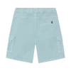 Aqua Cargo Shorts