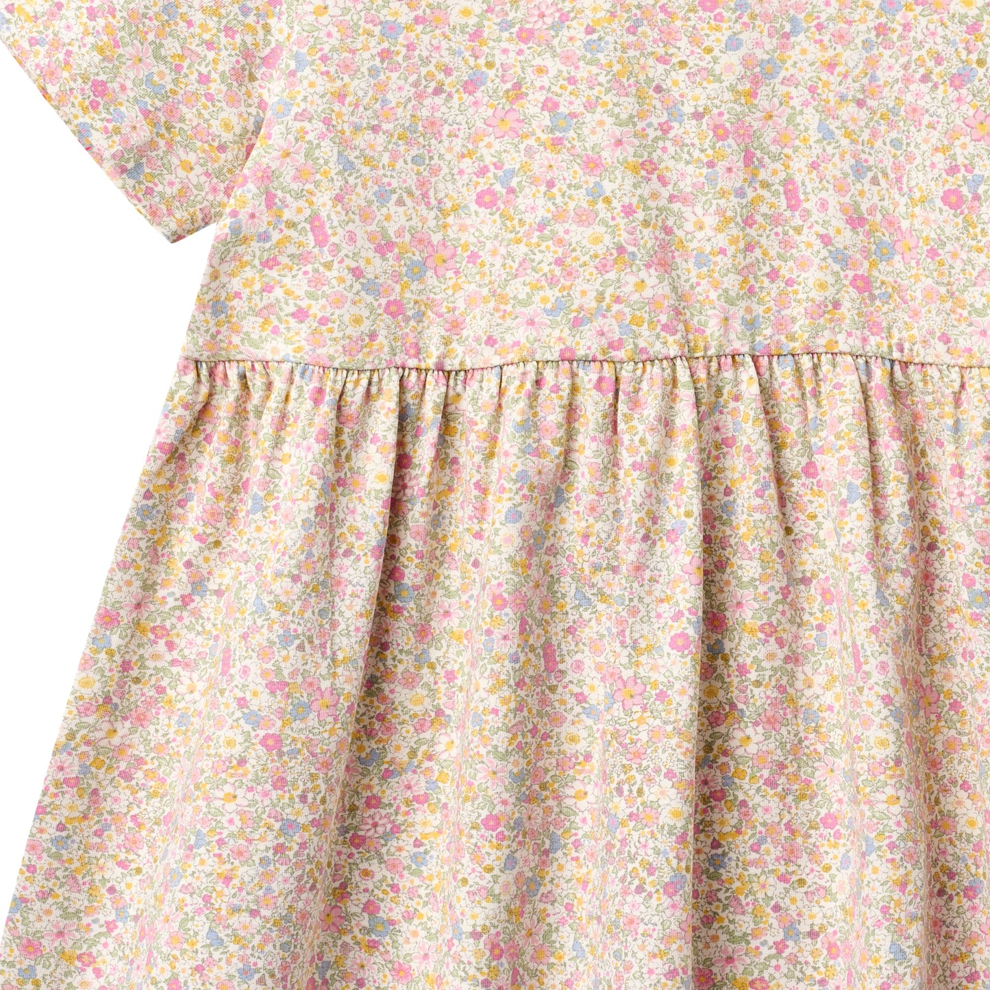 Blush Meadow Floral Dress