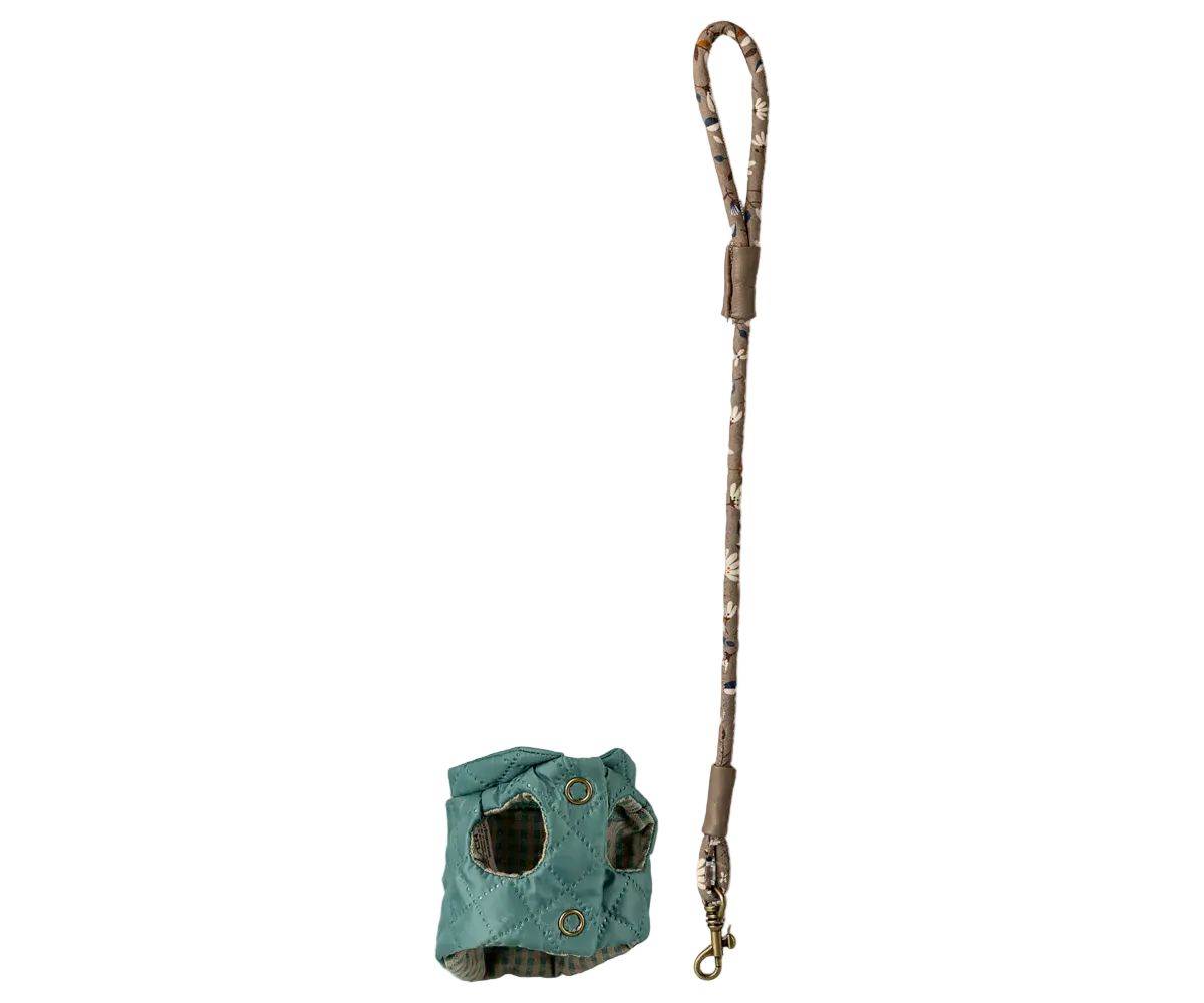 Puppy Dark Mint Harness Set