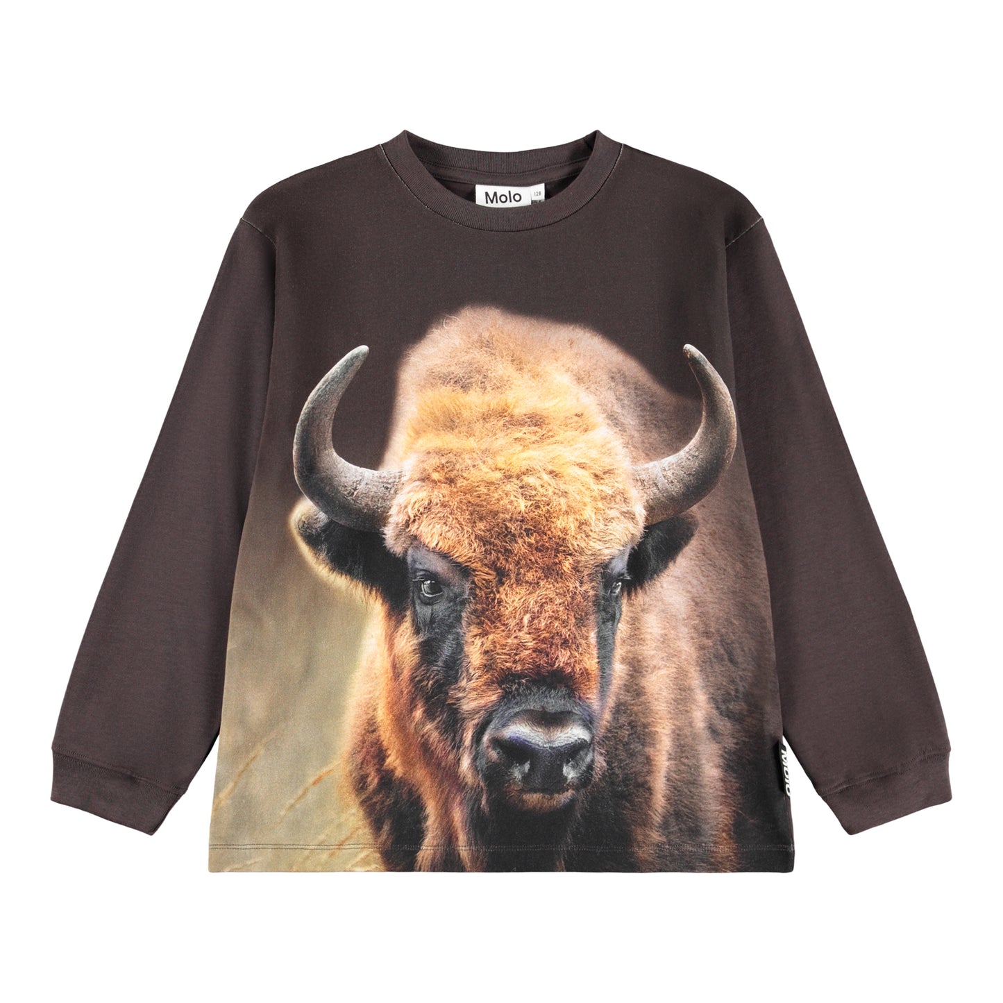 Bison Encounter Sweatshirt