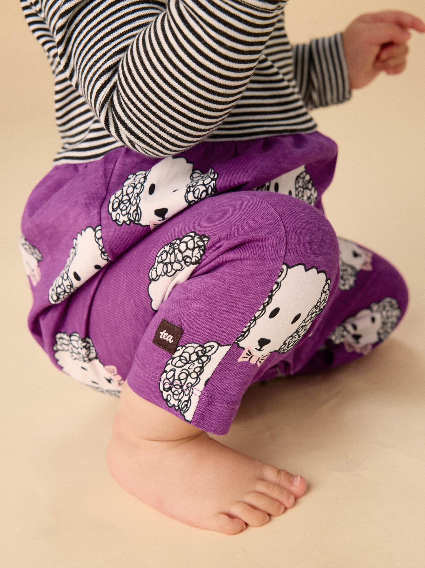 Maltipoo Romper