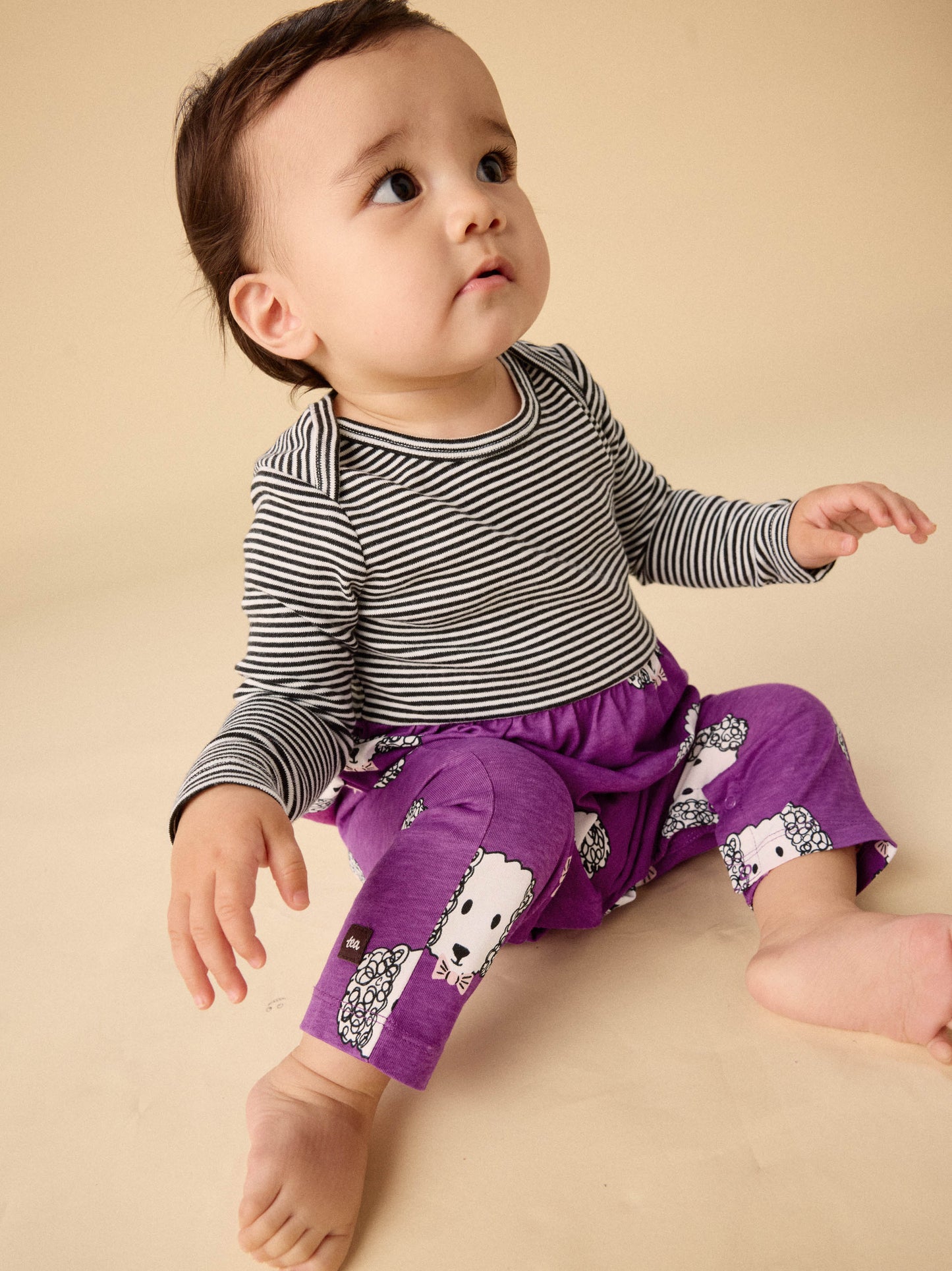 Maltipoo Romper