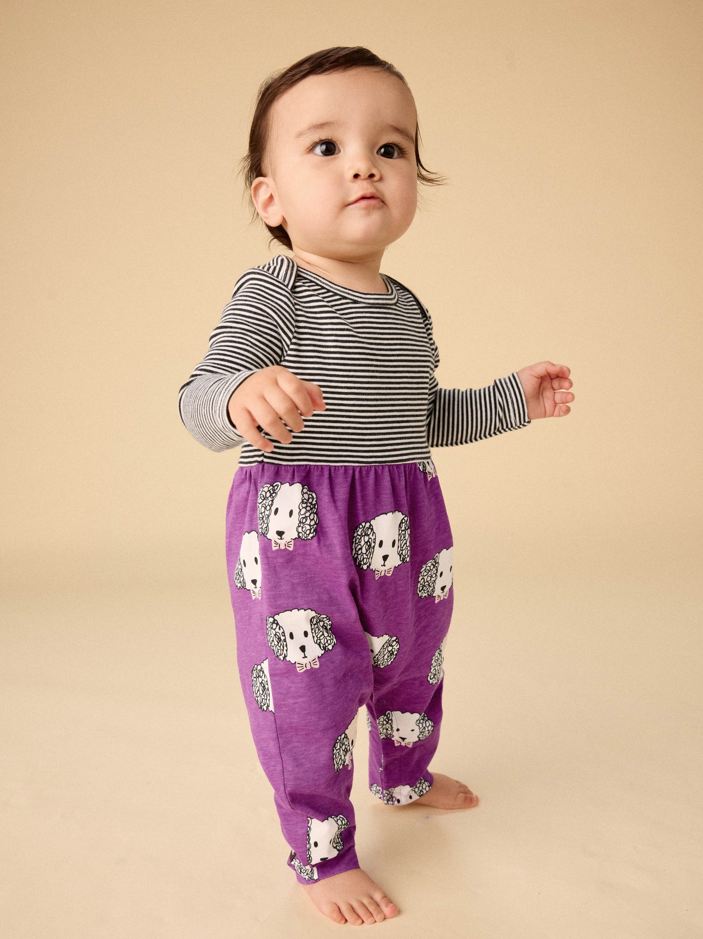 Maltipoo Romper