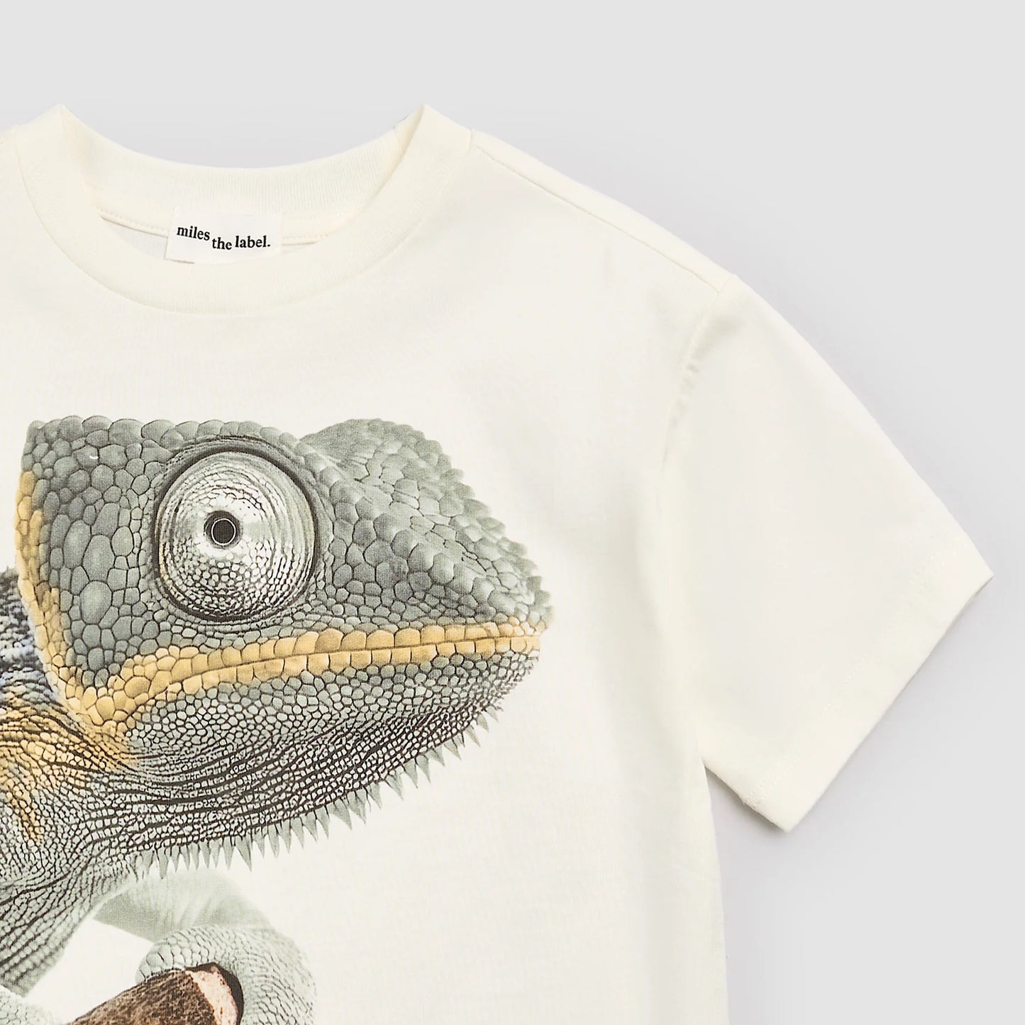 Chameleon Tee