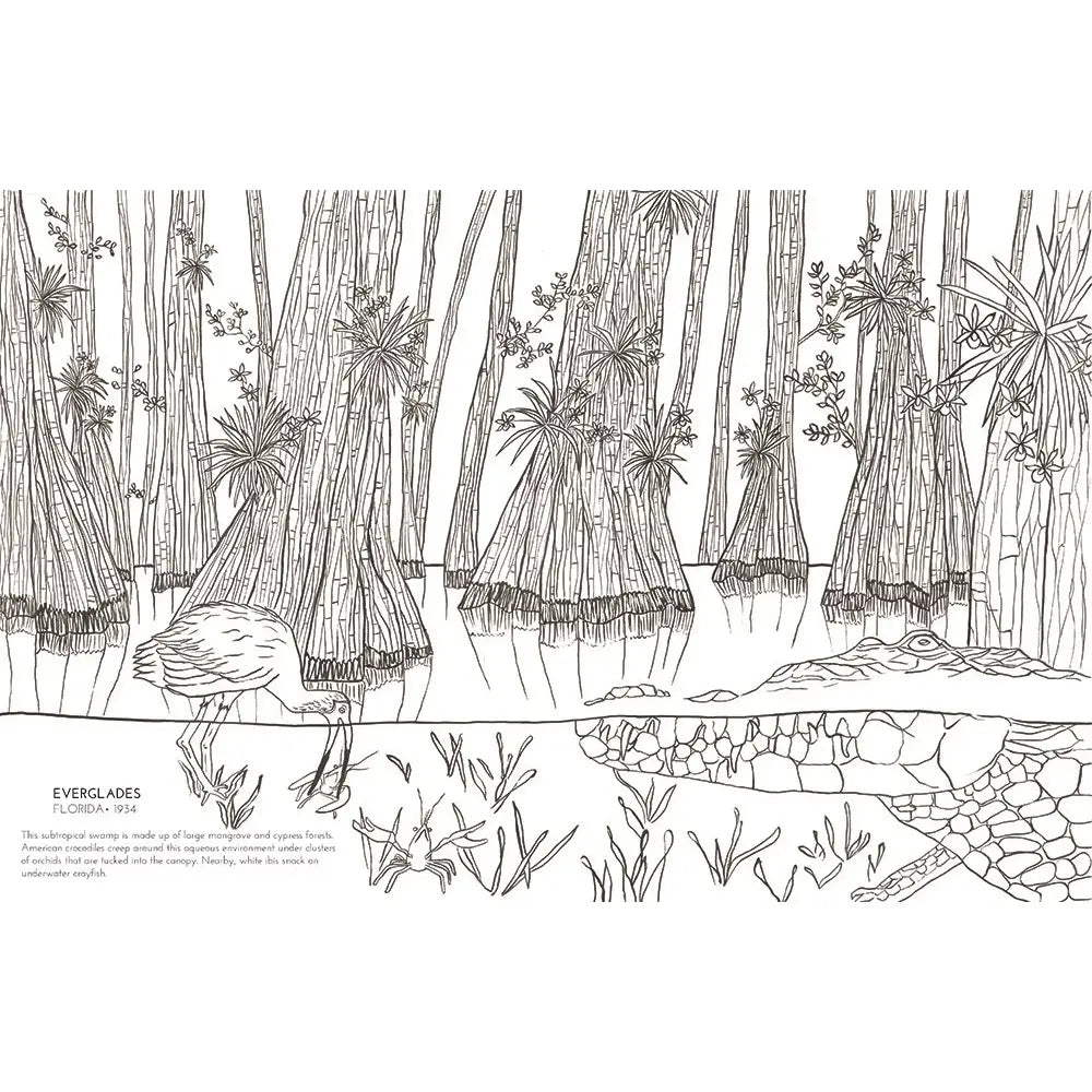 National Parks Coloring Book