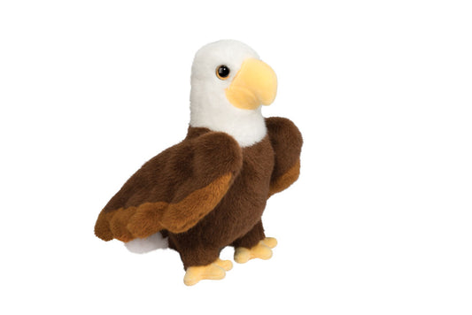 Windy Eagle