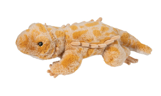 Boogie Bearded Dragon