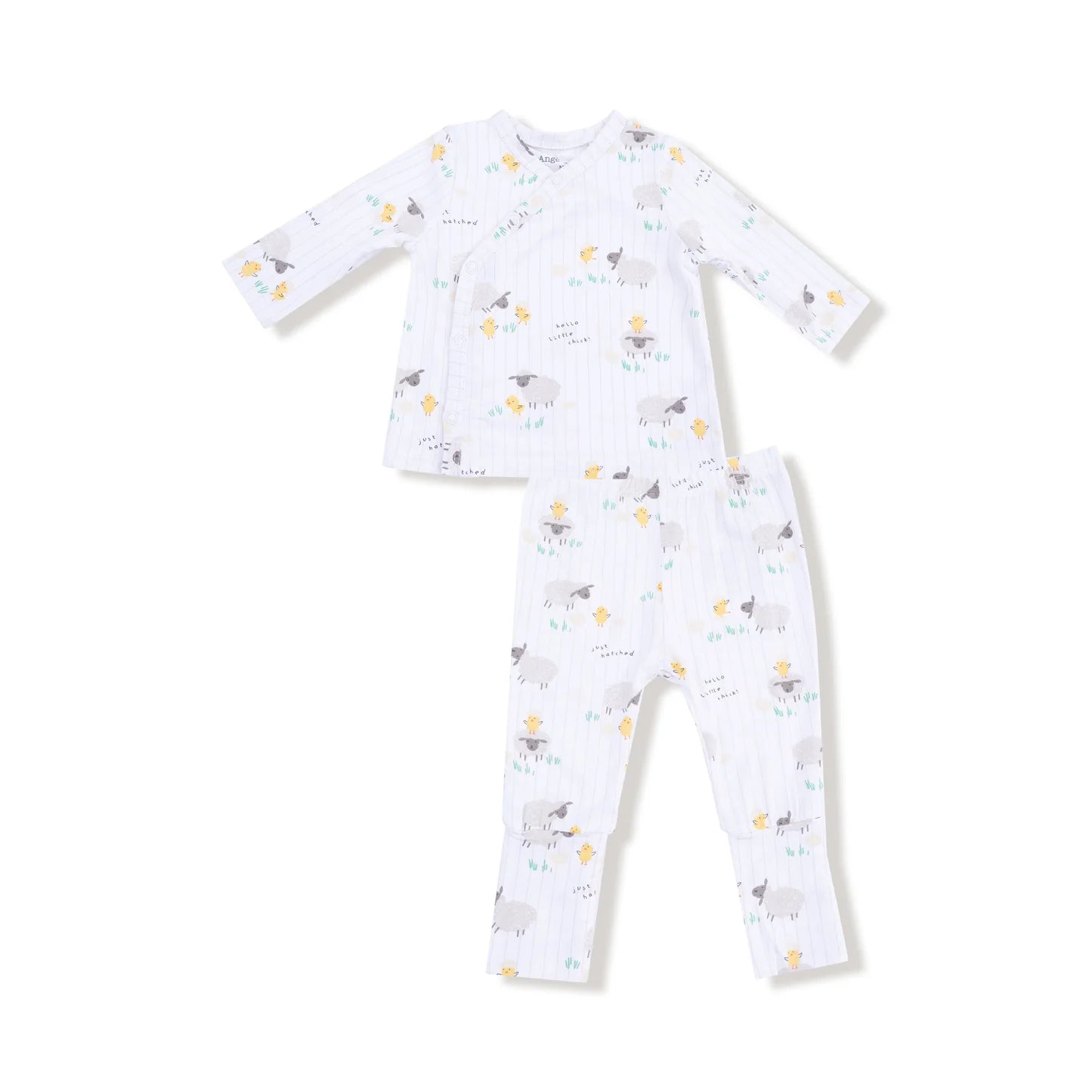 Just Hatched Take Home Set
