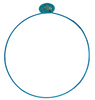 Circular outline with a small fish illustration at the top on a white background