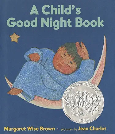 A Child's Good Night Board Book