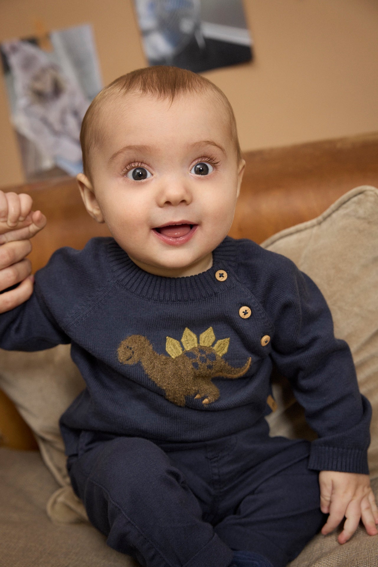 Navy Stegosaurus Sweaters
