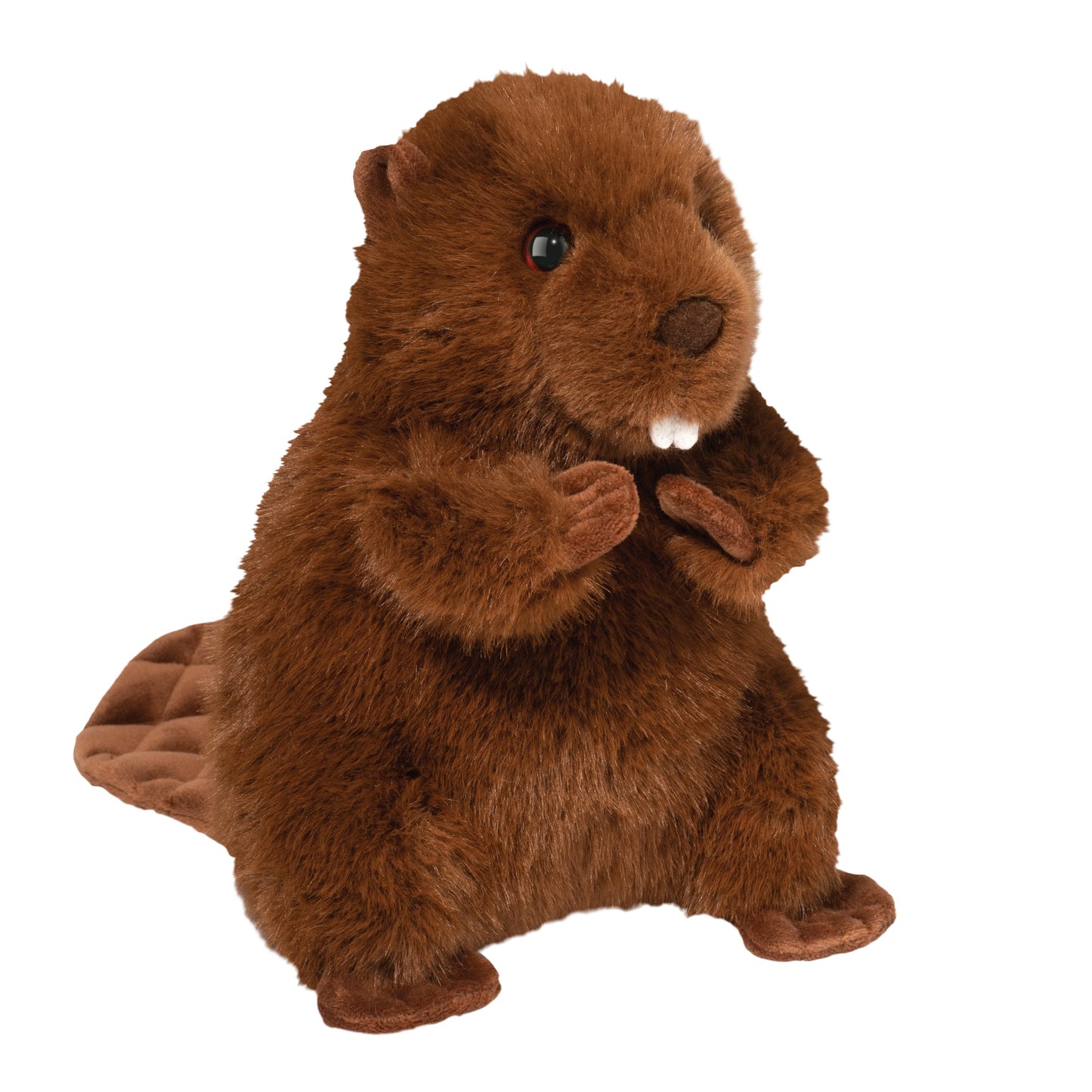 Plush toy beaver on a white background