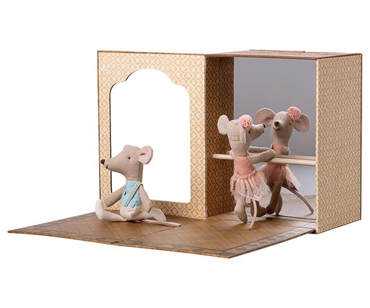 Ballet Dance Studio with Mice