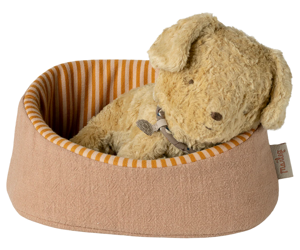 Powder Pet Basket