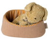 Powder Pet Basket