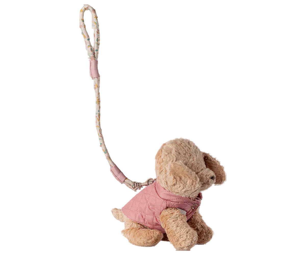 Puppy Rose Harness Set