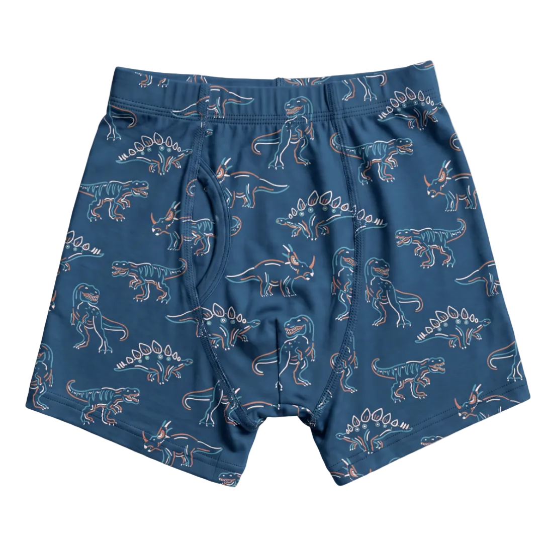 blue boys boxer briefs with images of dinos
