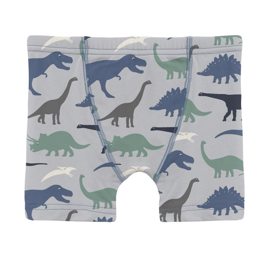 Boxer briefs with dinosaur pattern on a white background