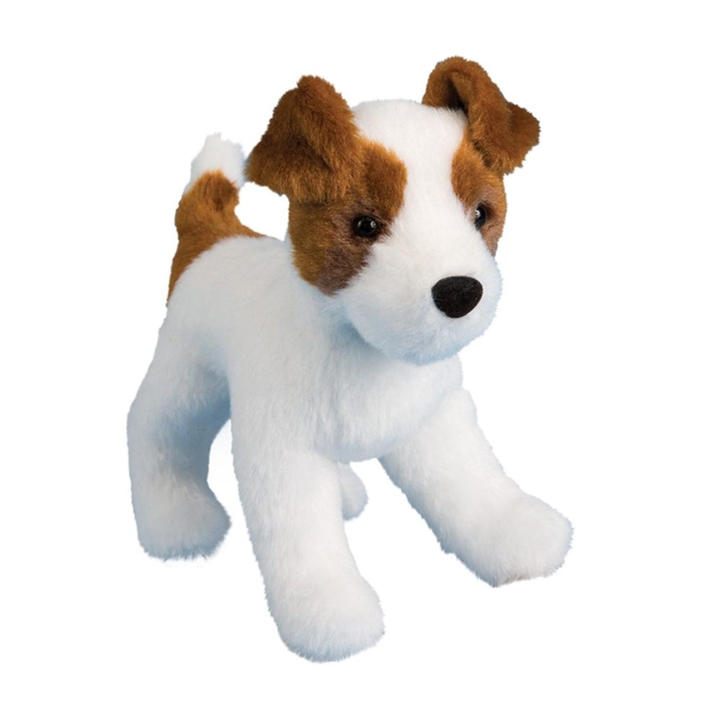 Feisty Jack Russell Soft