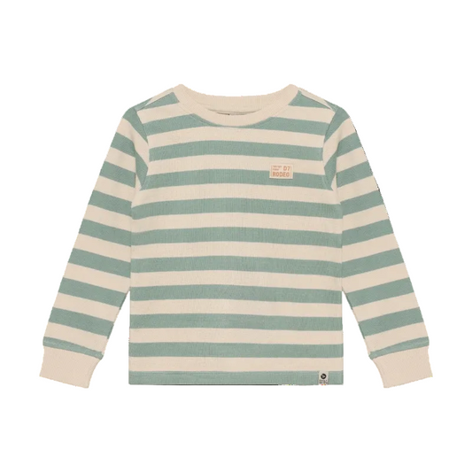 Striped long-sleeve shirt with a logo
