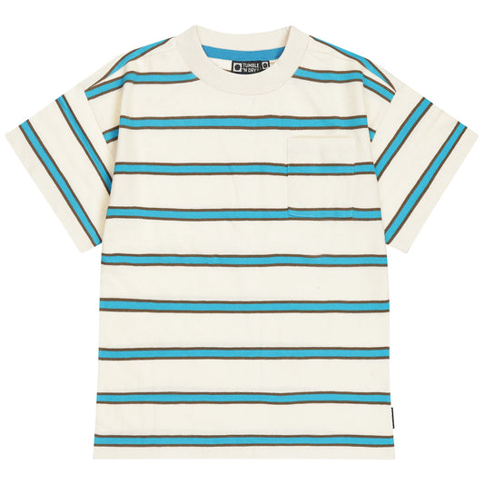 Aqua and Brown stripe tee on creamy white background