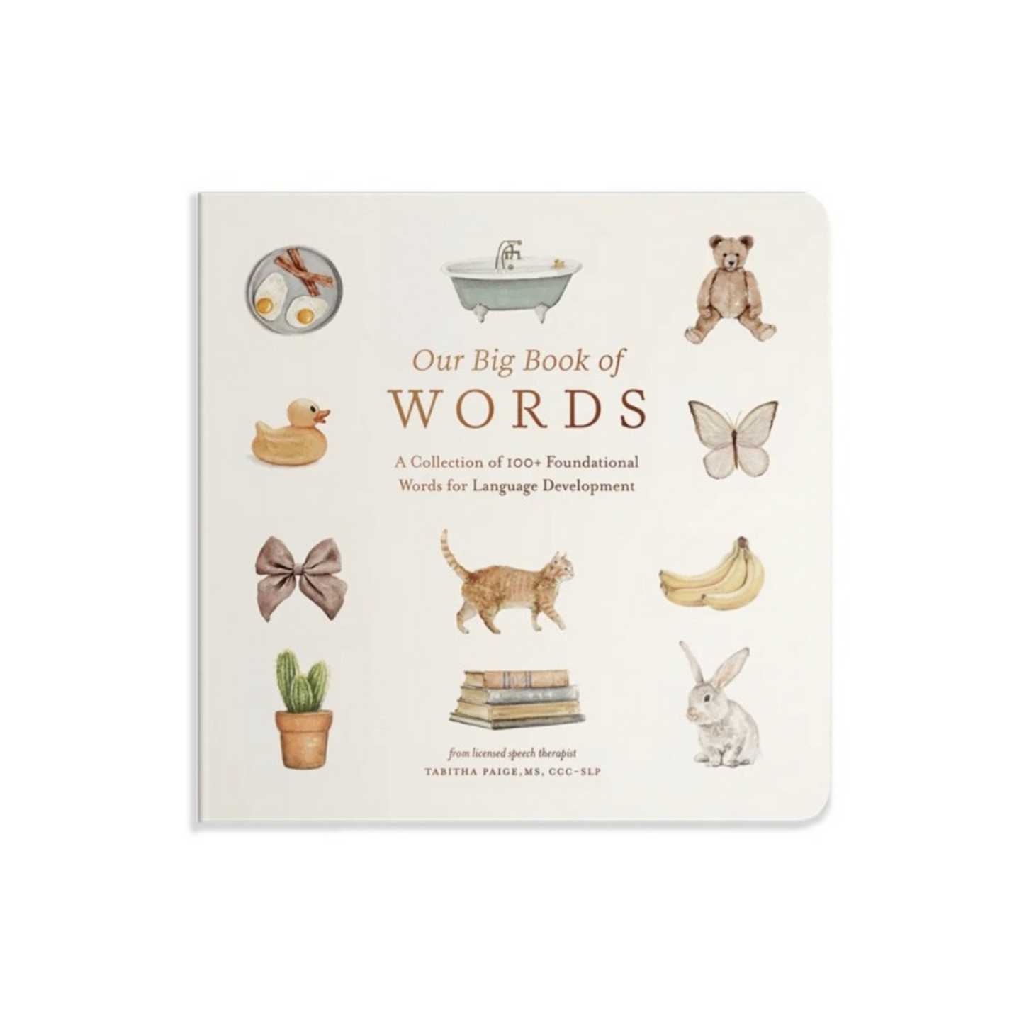 First-words board book for early vocabulary development