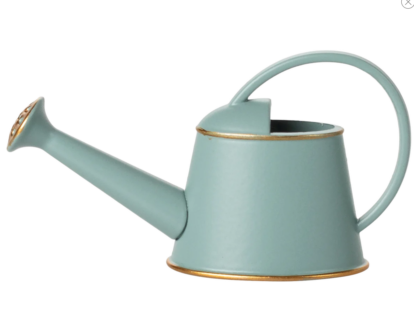 Watering Can- Light Blue