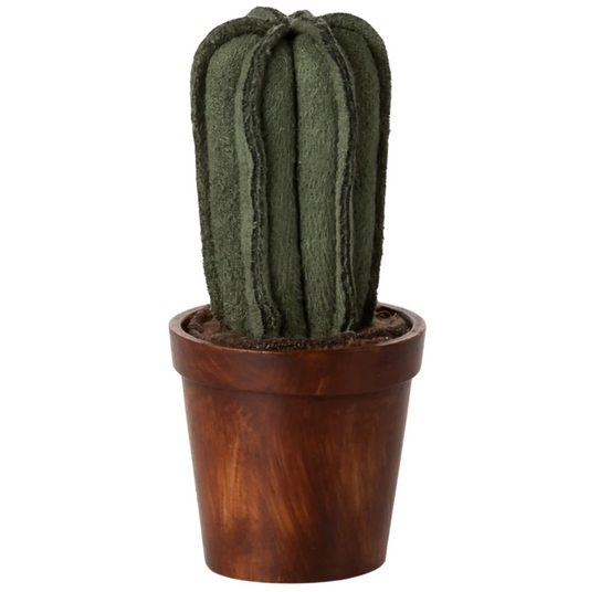 Flower Pot with Cactus