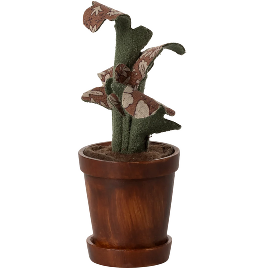 Flower Pot with Plant