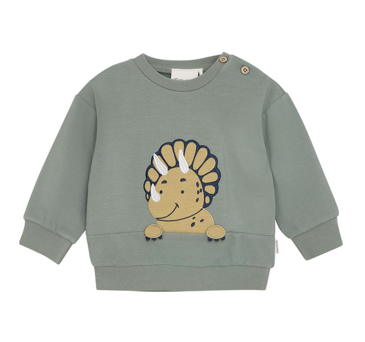 Sea Spray Dino Sweatshirt