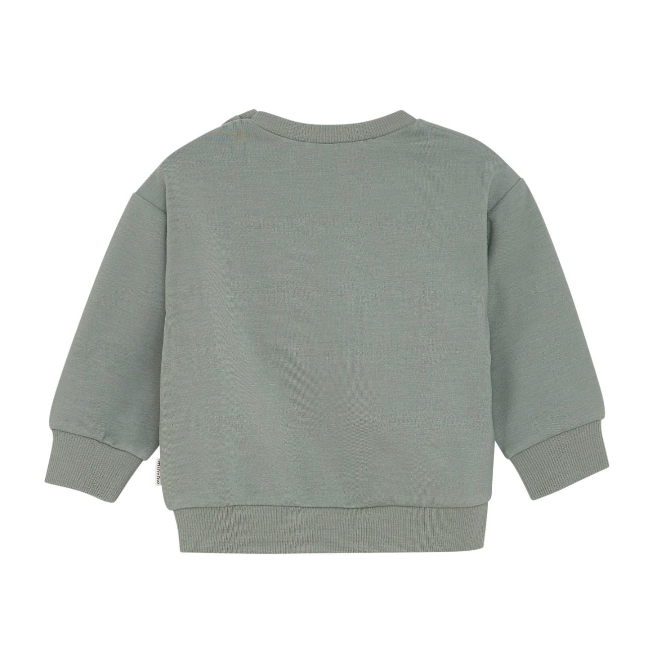Sea Spray Dino Sweatshirt