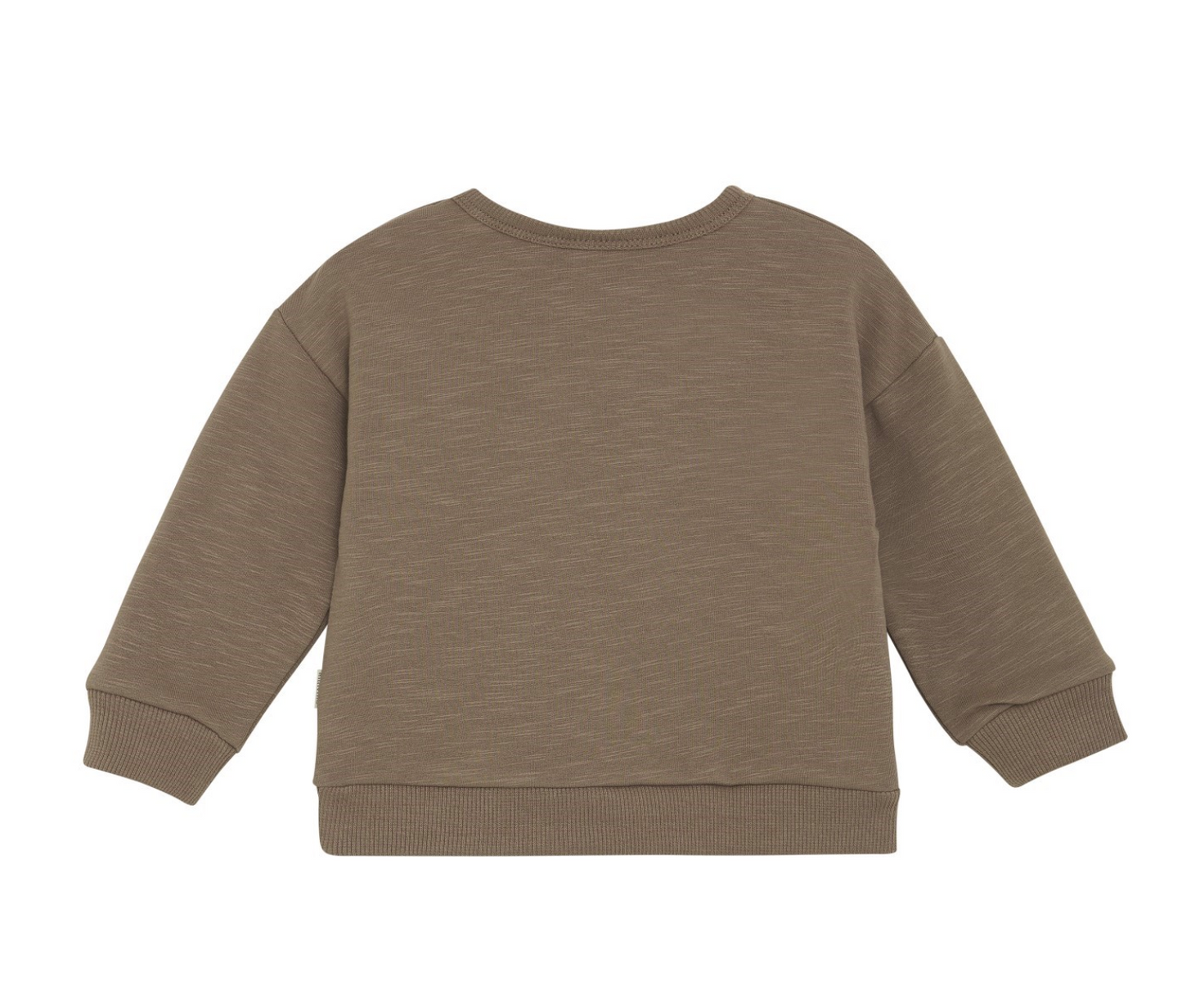 Fly High Lion Sweatshirt