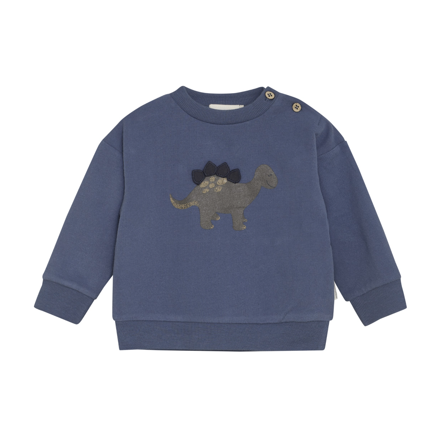 Vintage Indigo Dino Sweatshirt