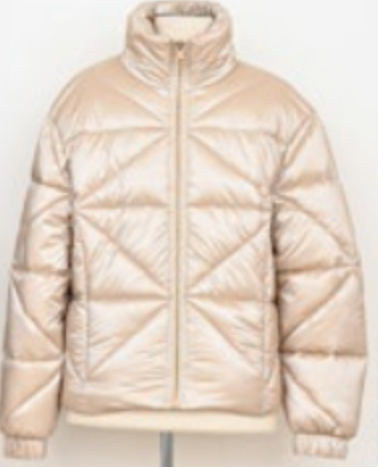 Champagne Puffy Jacket