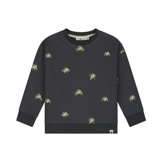Antra Robot Sweatshirt