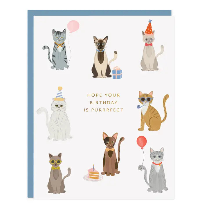 Birthday card with illustrated cats dressed for a party, gold foil lettering