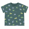 Green Dinos Tee & Shorts Set