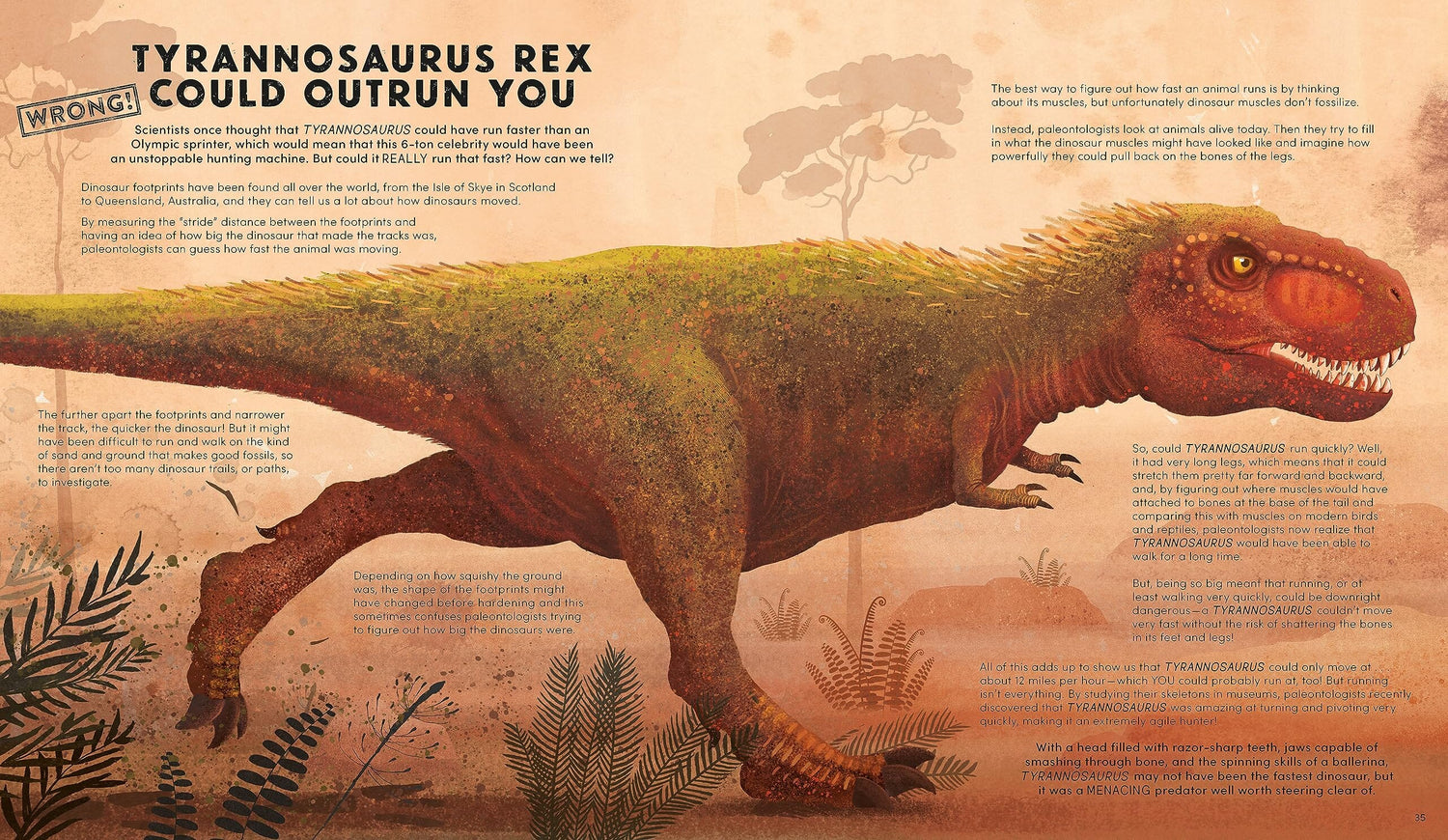 Everything You Know About Dinosaurs is Wrong! 192 GIFT CHILD Hachette Books