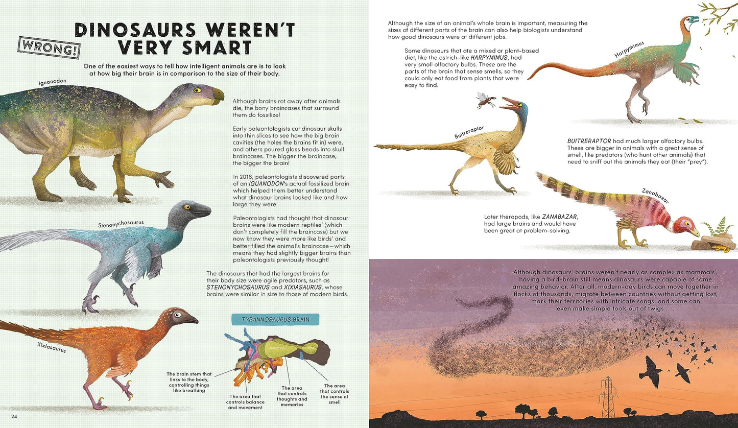 Everything You Know About Dinosaurs is Wrong! 192 GIFT CHILD Hachette Books