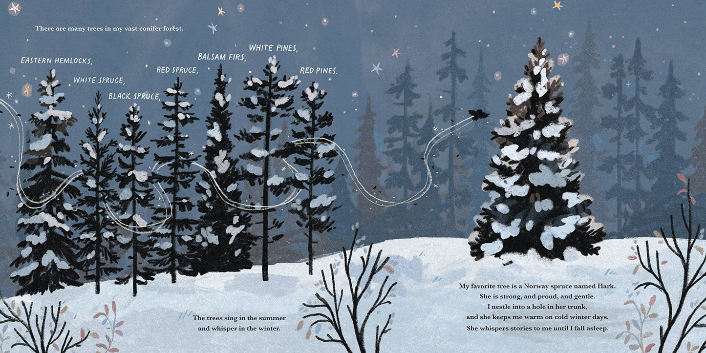 Merry and Hark 192 GIFT CHILD Hachette Books