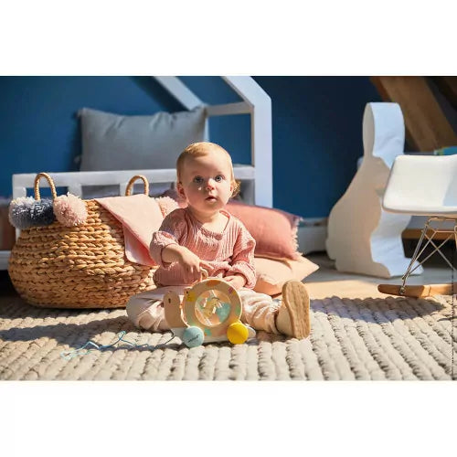 Pull Along Musical Snail