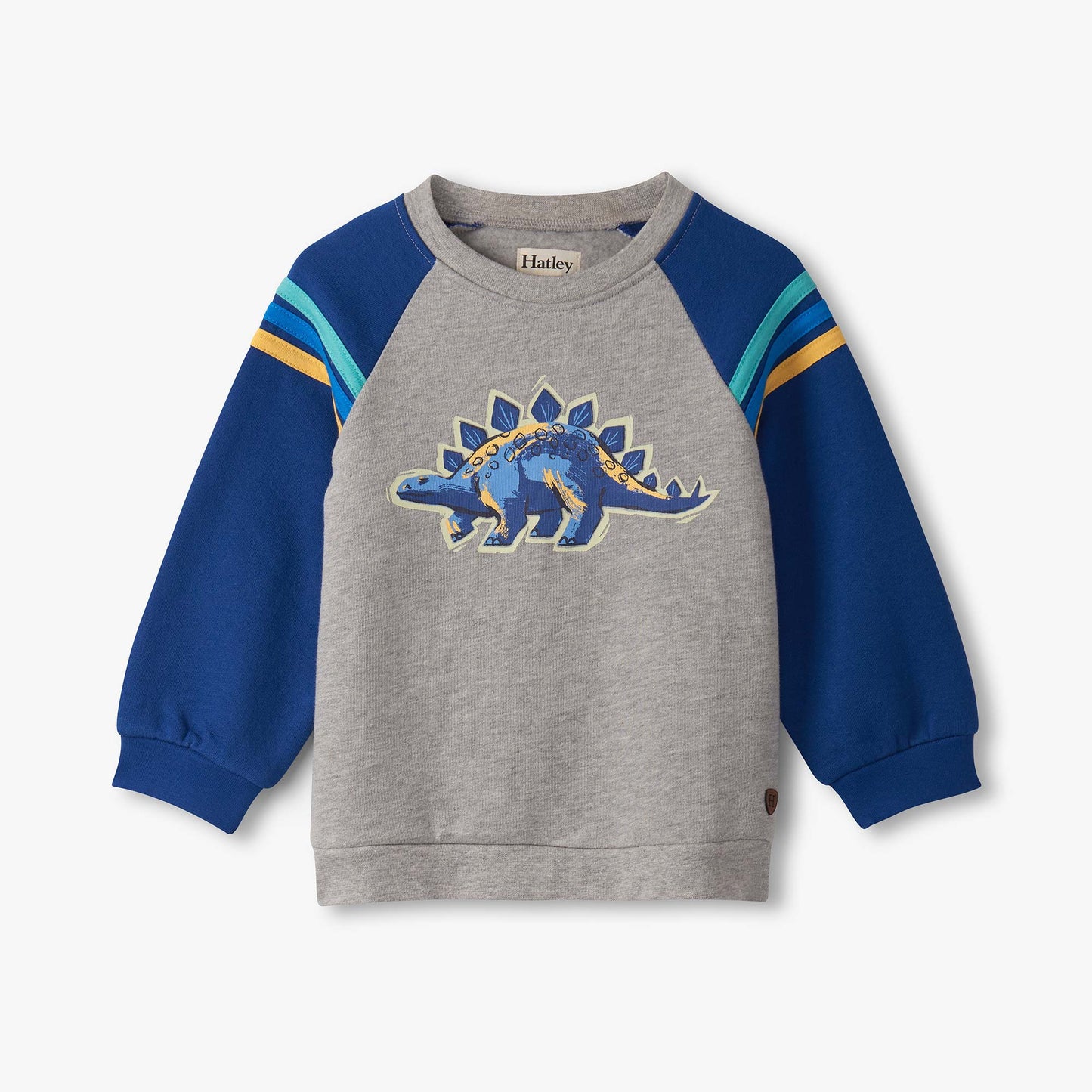 Gray sweatshirt with blue sleeves and dinosaur graphic on a white background