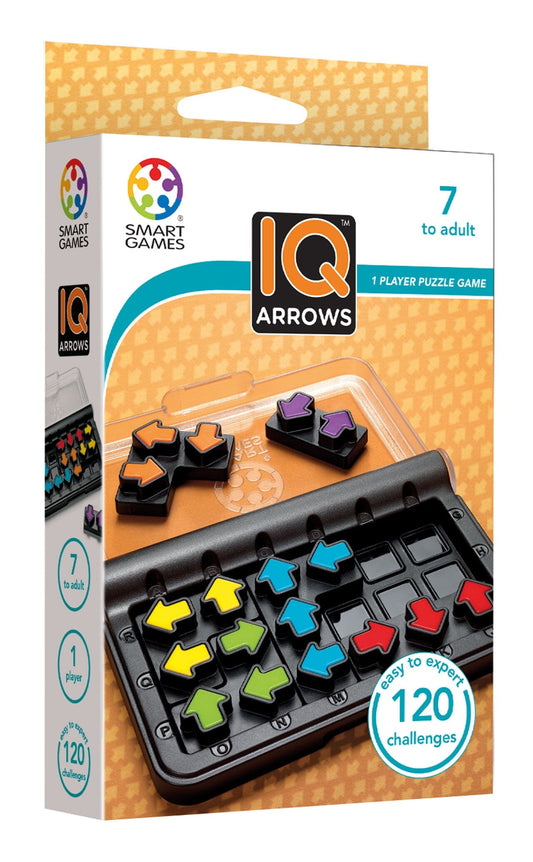IQ Arrows Game 196 TOYS CHILD Smart Toys And Games