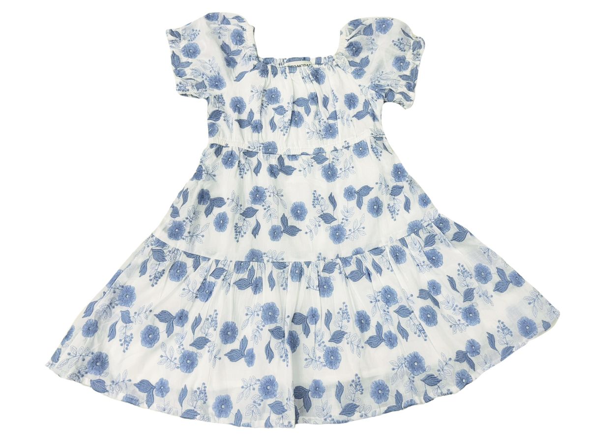 Blue Floral Embroidery Dress