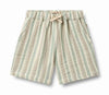Striped shorts with a drawstring 
