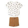 Dog Tee and Shorts Set