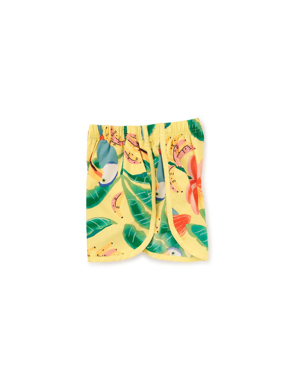 Toucan Dolphin Shorts