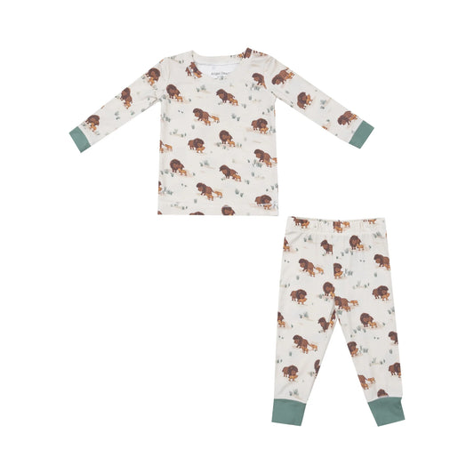 Bison Families Pajama Set