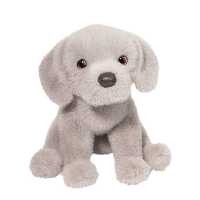 Argento Floppy Silver Lab